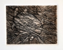 Carapace, acquaforte, 35x50, 1980