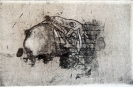 Carapace e bucranio, acquaforte + acquatinta, 35x50, 1990