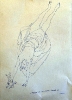 Morte nel canala di Otranto, disegno a penna, 30x20, progetto per scultura