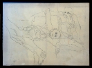 Vietnam, matite grasse, 50x70, 1969/70