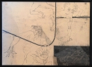 Vietnam, matite grasse, 50x70, 1969/70