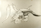 Studio, matita e carta, 1970/80