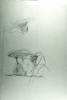 La spiaggia, studio a matita, 1970/80