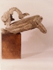 Tartaruga con bucranio - gesso patinato, 1988 - coll. prof. N. Pizzimenti