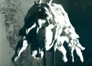 Medusa, gesso, 1990/2000
